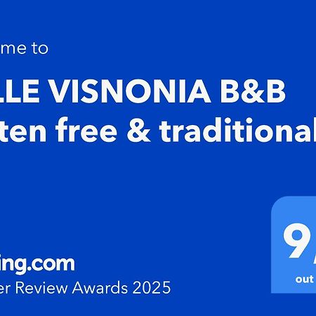 Belle Visnonia B&B Gluten Free & Traditional Béganne Exteriér fotografie