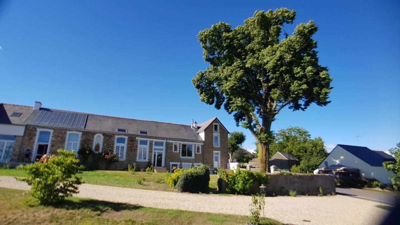Belle Visnonia B&B Gluten Free & Traditional Béganne Exteriér fotografie
